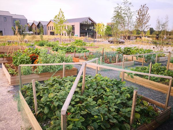 Arteparc Lille - parc tertiaire proposant de agriculture urbaine